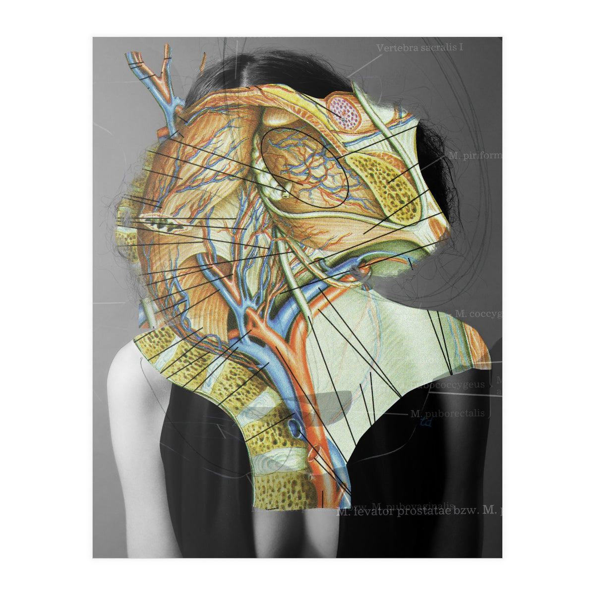 Crazy Woman 210 (Print Only)