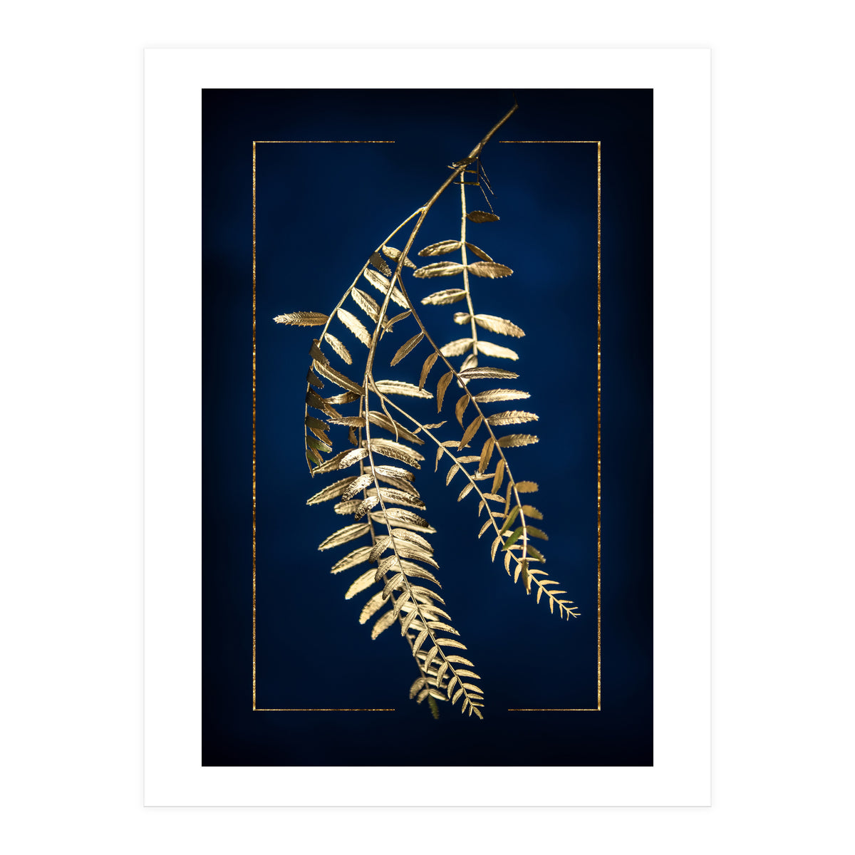 Golden Pepper Tree (Print Only)