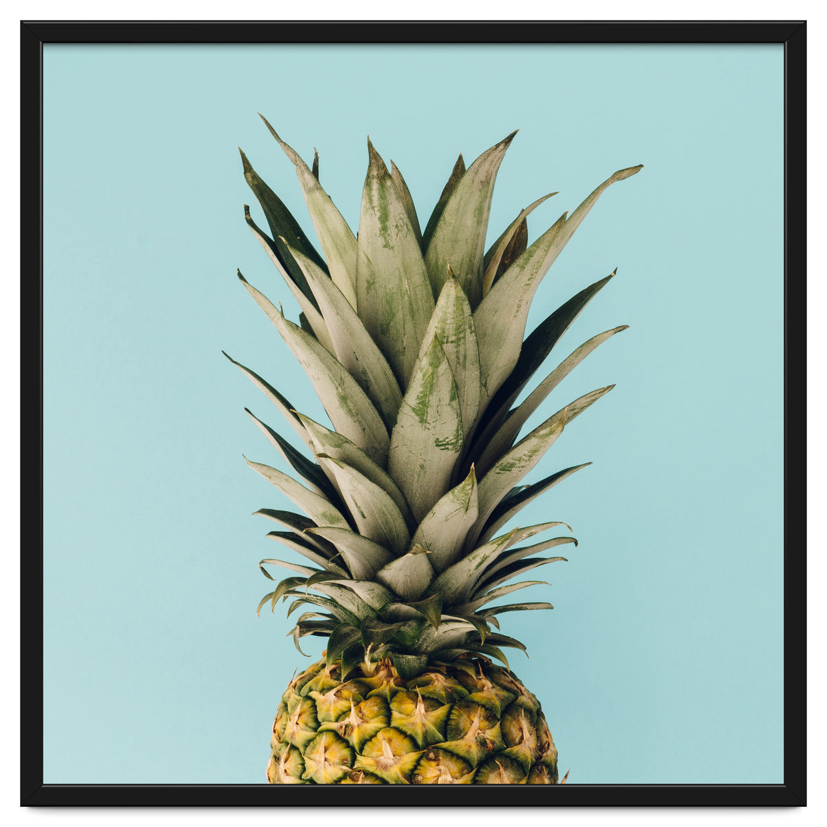 Pineapple On Blue Background
