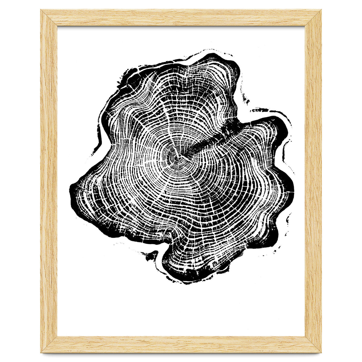 Alaskan Cypress, Tree Ring Art Print, Woodblock