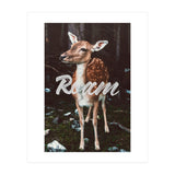 Roam (Print Only) thumbnail