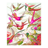 Haven (Print Only) thumbnail