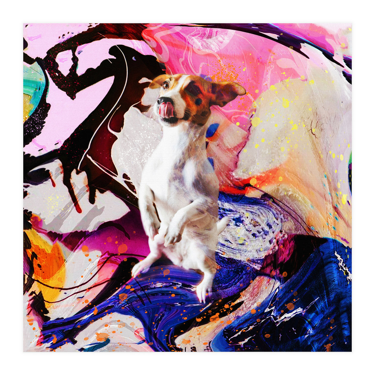 Zycko Color Dog 4 (Print Only)