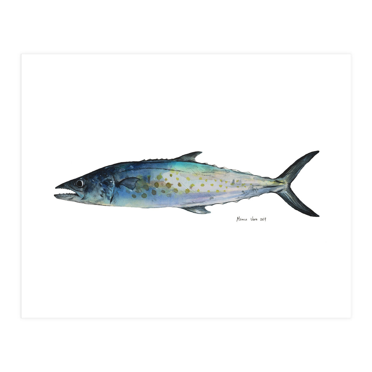 Fish Sierra (Print Only)
