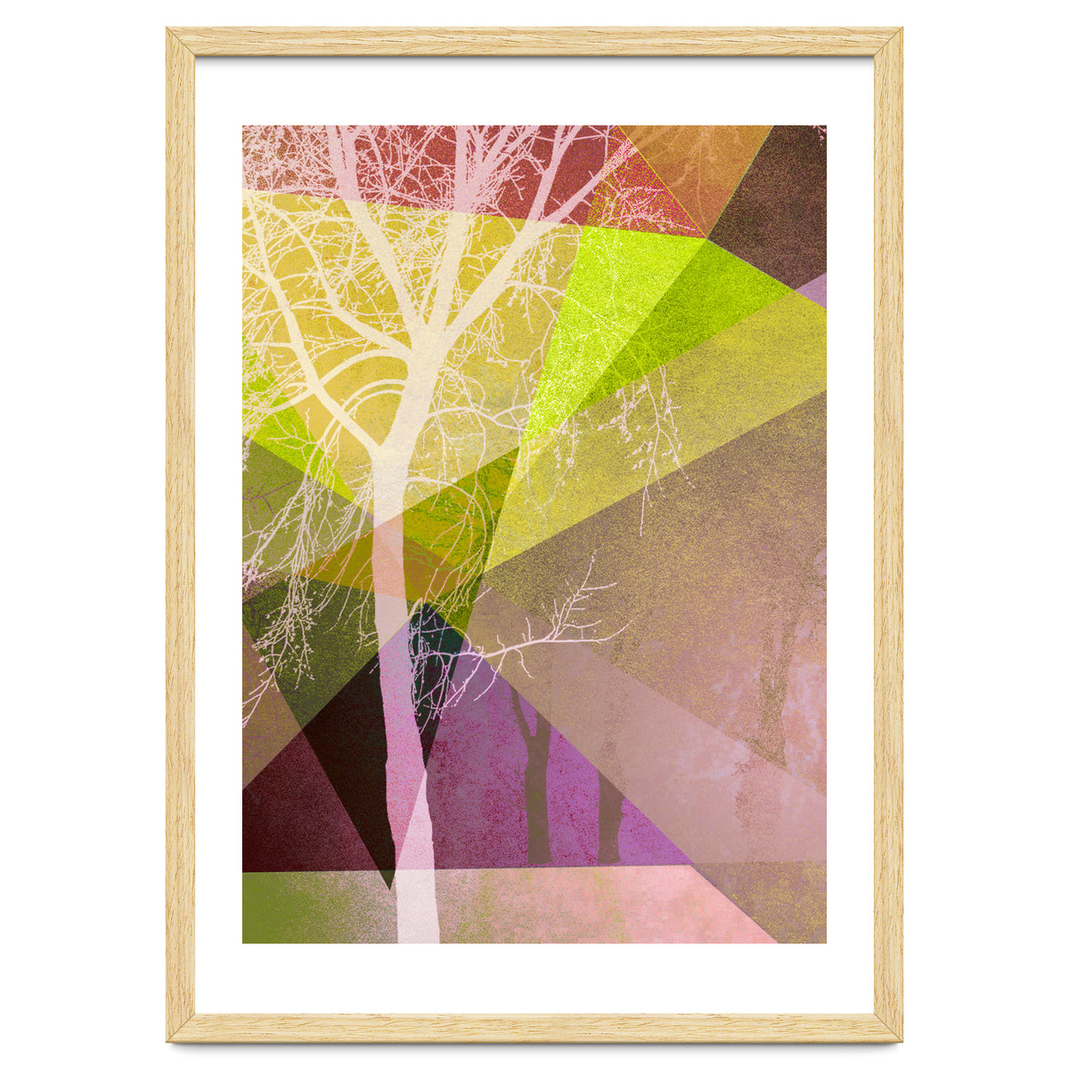 P22 Trees And Triangles