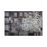 Chelsea Spring  (Print Only) thumbnail