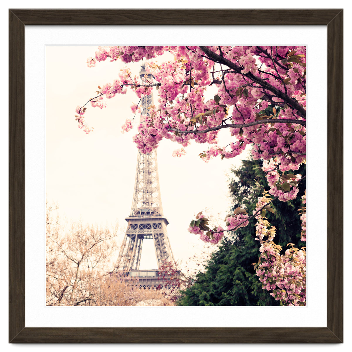 Paris in the Spring