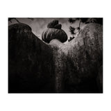 Angel Wings (Print Only) thumbnail