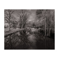 Bute Park, Cardiff  (Print Only)