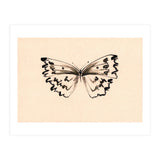 Butterfly (Print Only) thumbnail