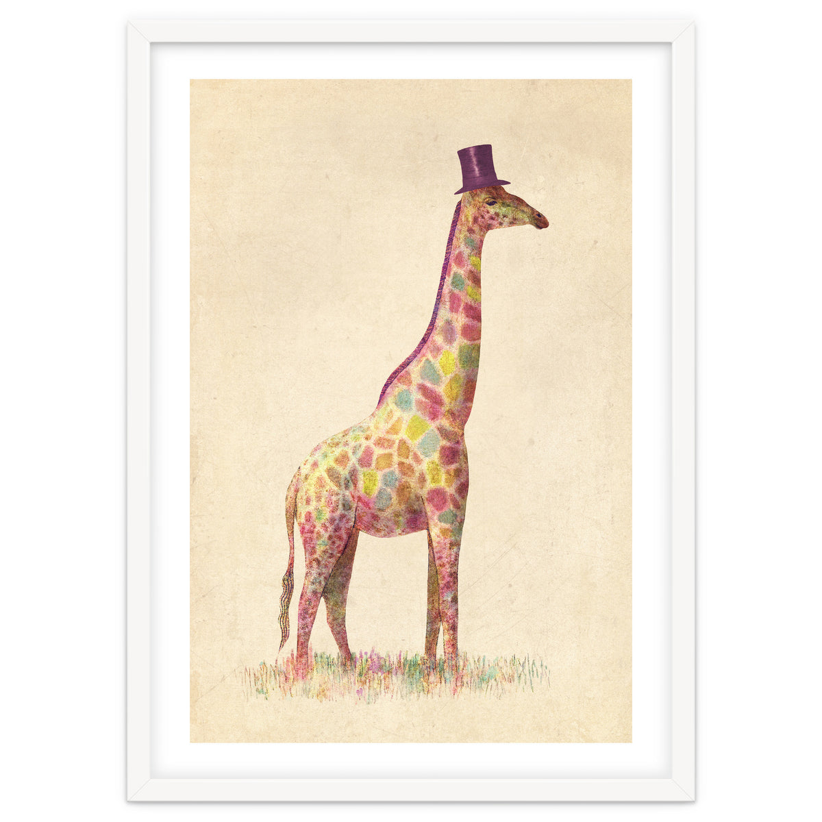Fashionable Giraffe