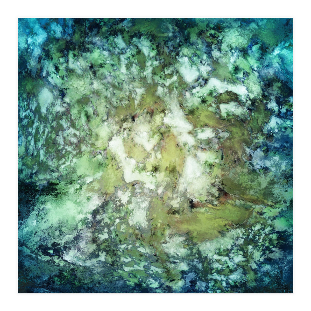 Observation (Print Only)