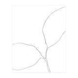 Seedling Leaning Left (Print Only) thumbnail