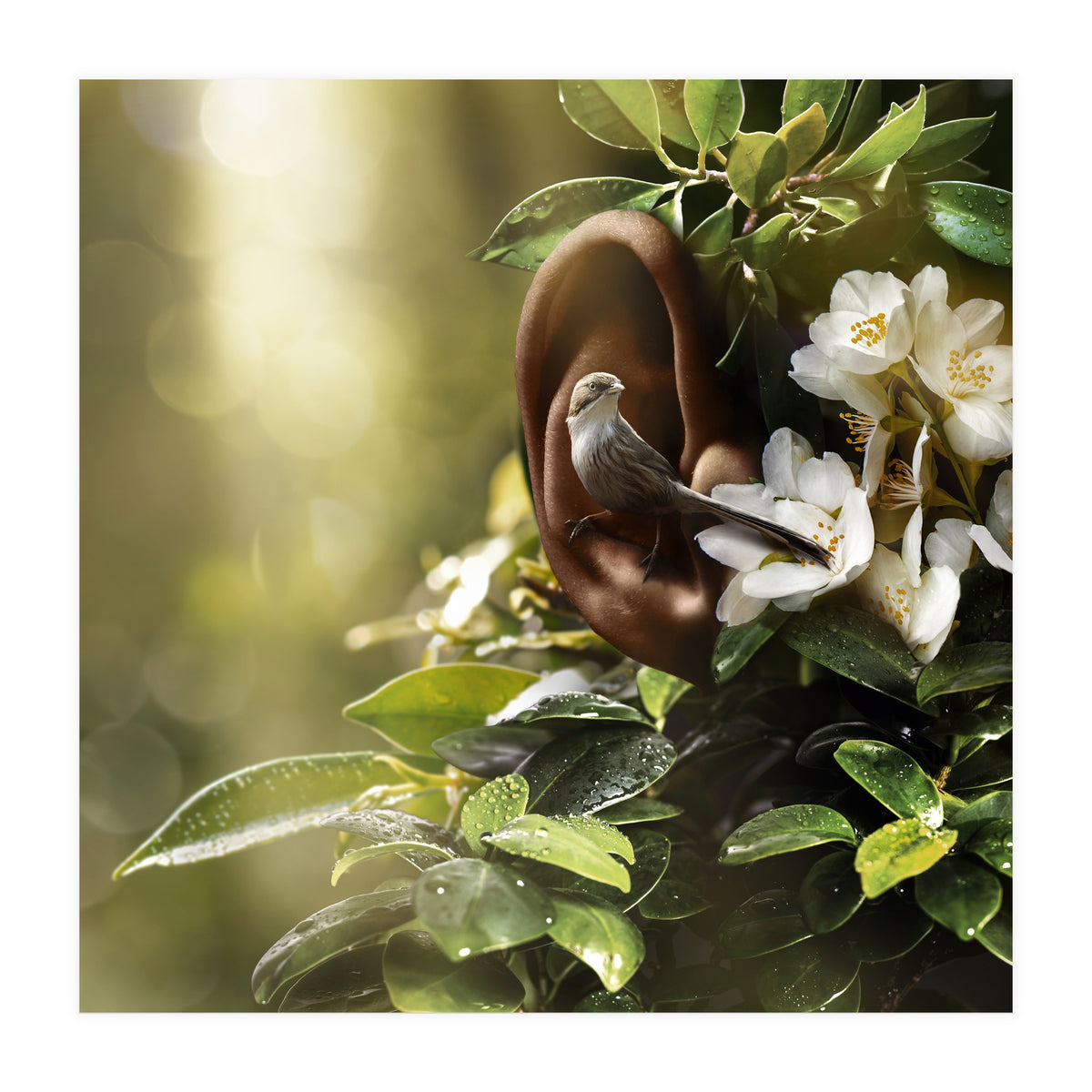 Sound Of Nature (Print Only)