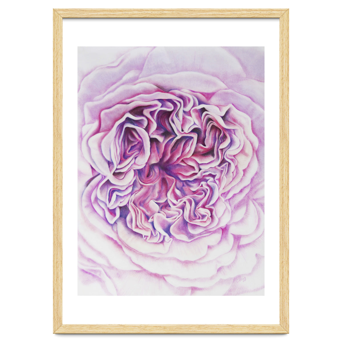 A Rose Is A Rose Std