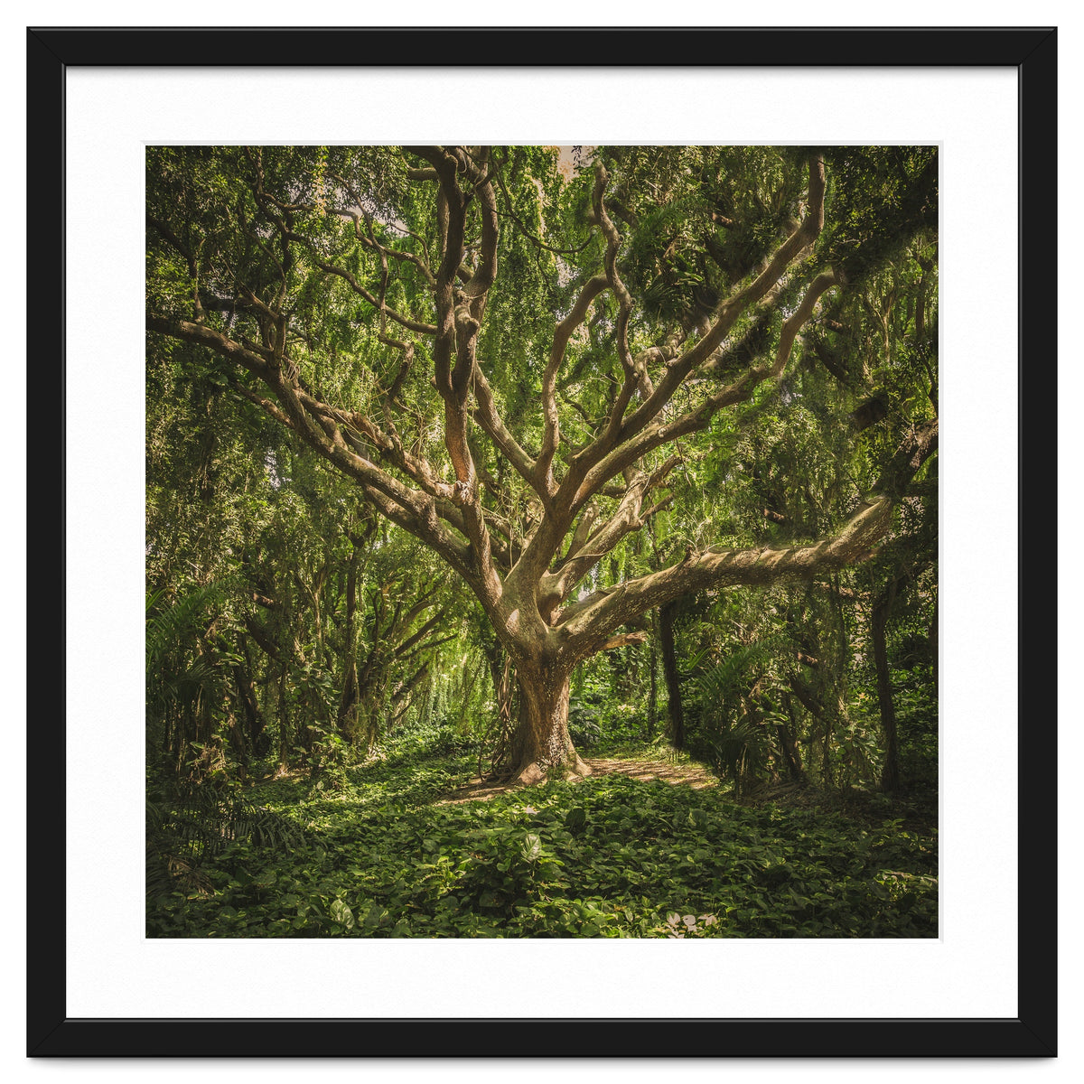 Spirits inside the wood