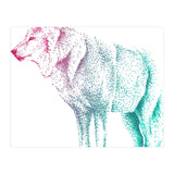 Wolf  (Print Only) thumbnail