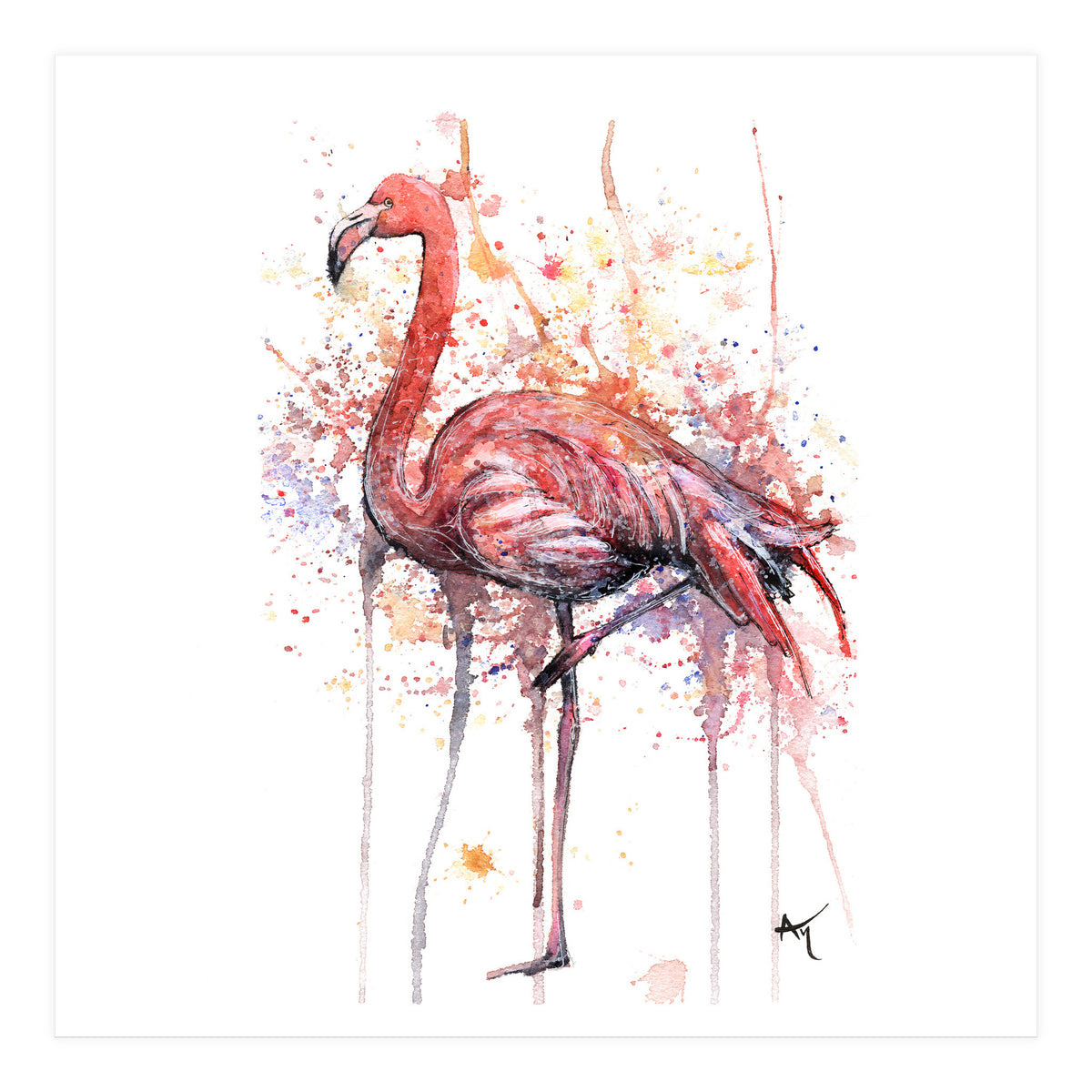 Flamingo - Wildlife Collection (Print Only)