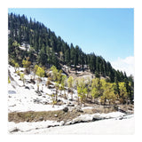 Kashmir V2 (Print Only) thumbnail