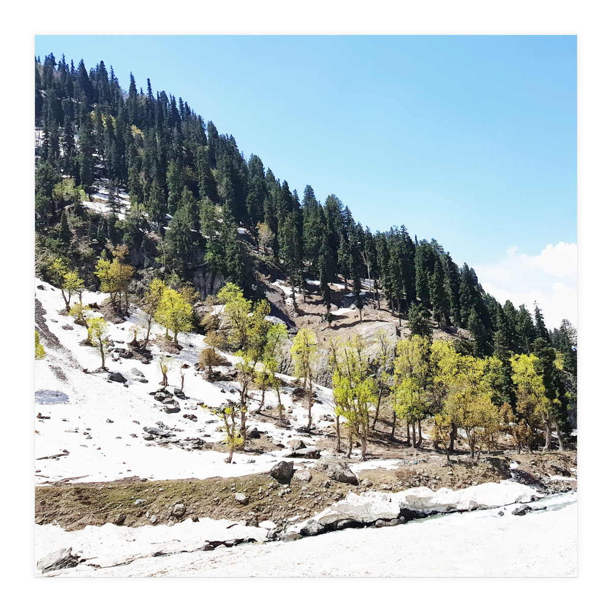 Kashmir V2 (Print Only)