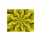 Spring Floral (Print Only) thumbnail