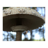 Shelter In The Woods (Print Only) thumbnail