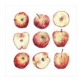 Apples (Print Only) thumbnail