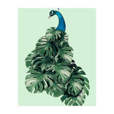 Monstera Bird (Print Only) thumbnail