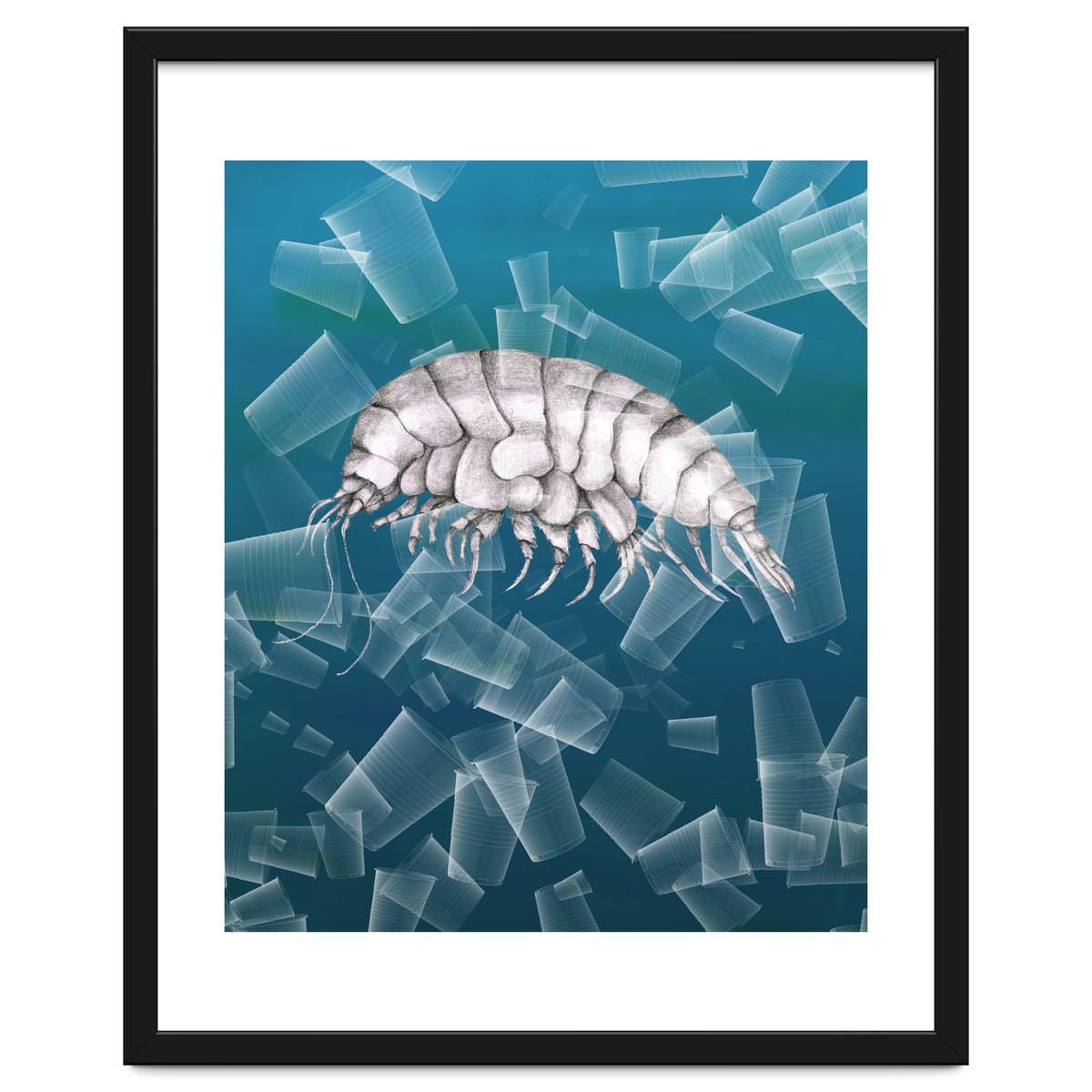 Eurythenes Plasticus