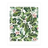 Fig Garden (Print Only) thumbnail
