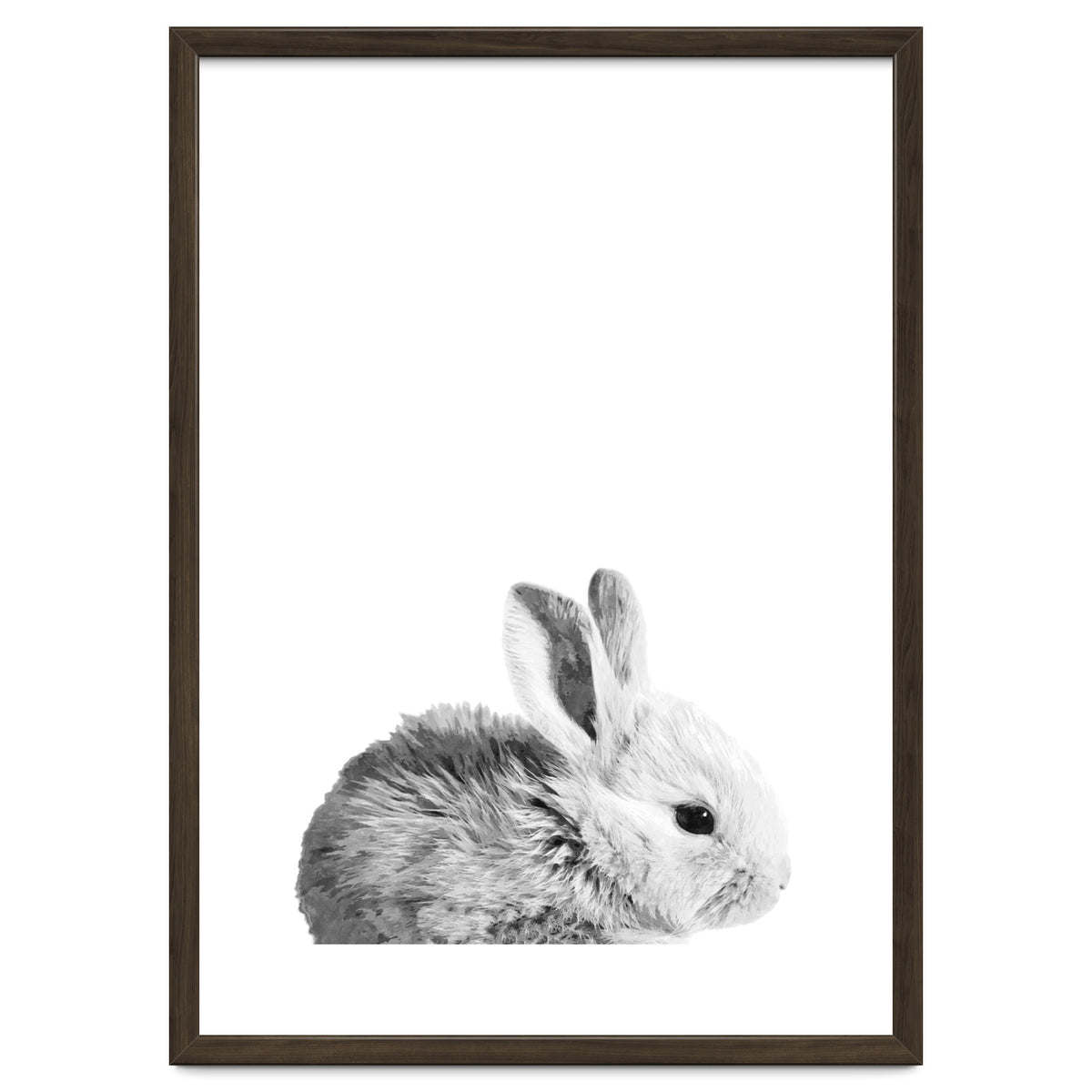 Black and White Bunny Portrait