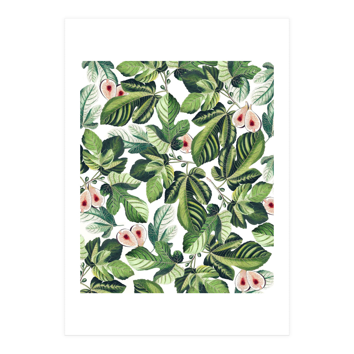 Fig Garden (Print Only)