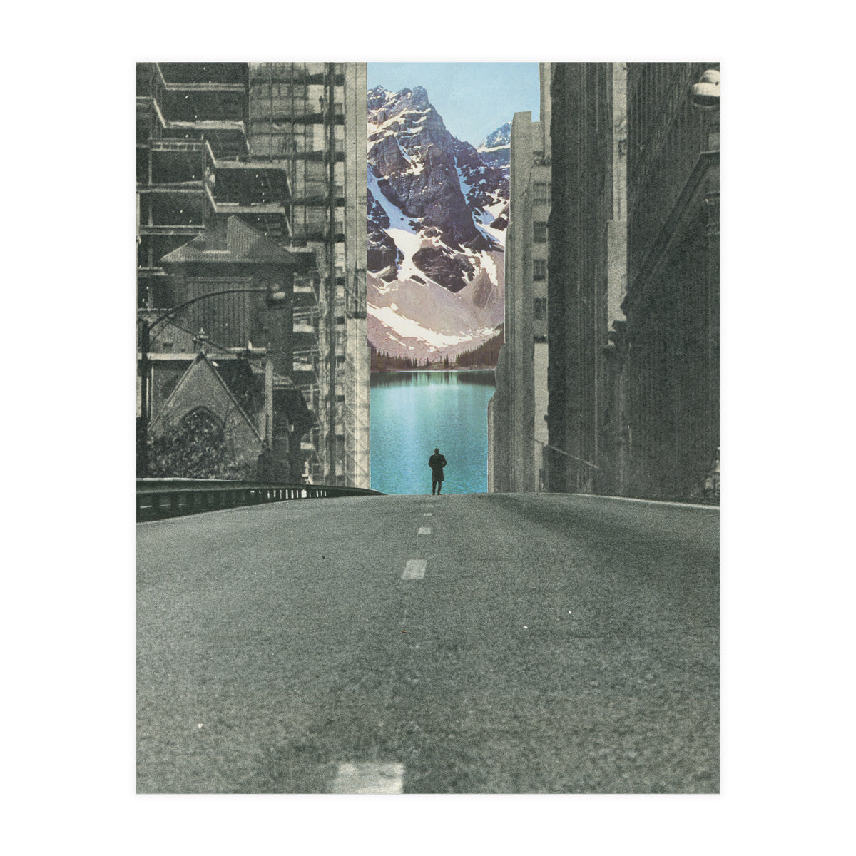 Into The Wild (Print Only)