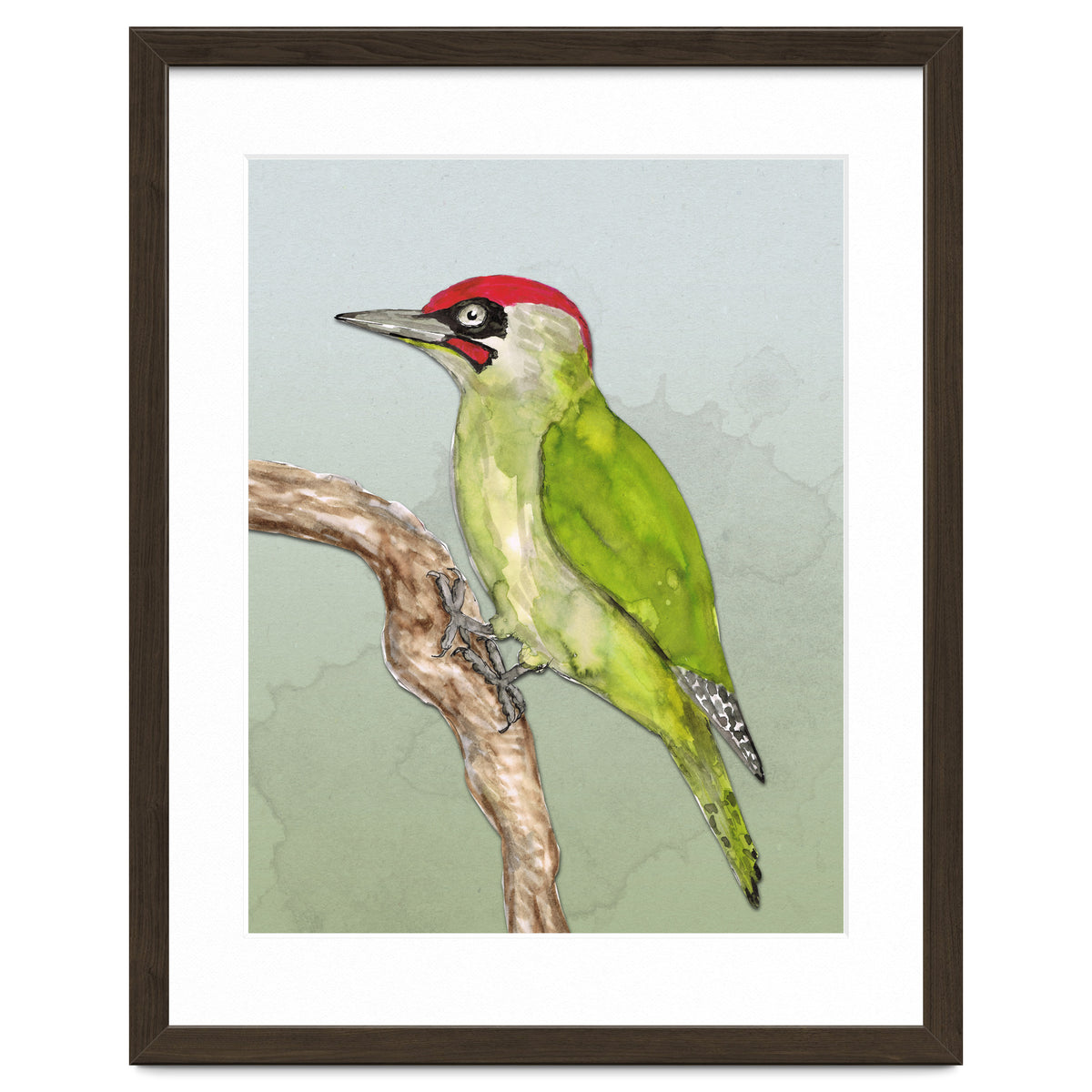 Green woodpecker