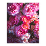 Rose Flowers  (Print Only) thumbnail