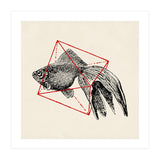 Fish In Geometrics III (Square) (Print Only) thumbnail