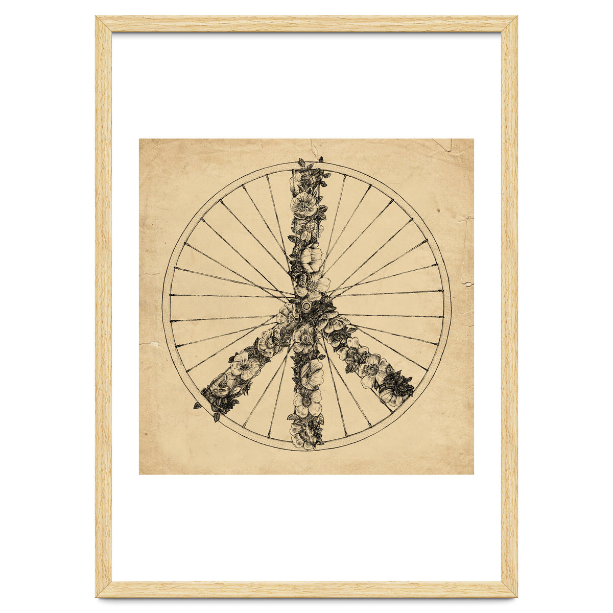 Peace And Bike Lines