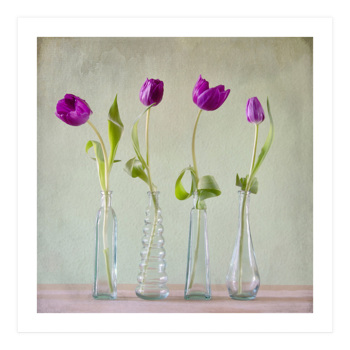 Tulips (Print Only)