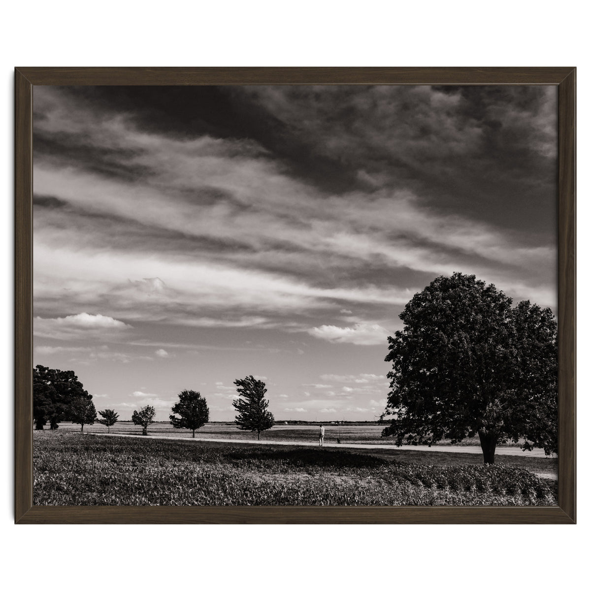 Country Road, Illinois