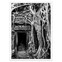 Ta Prohm Temple, Cambodia