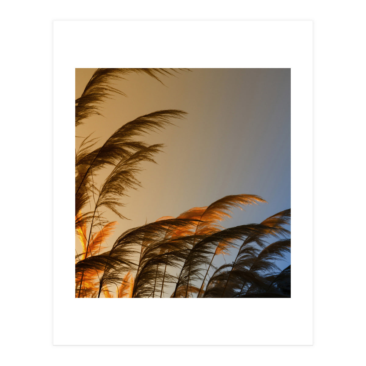 Sunset in autumn (Print Only)