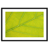Autumn Leaf thumbnail