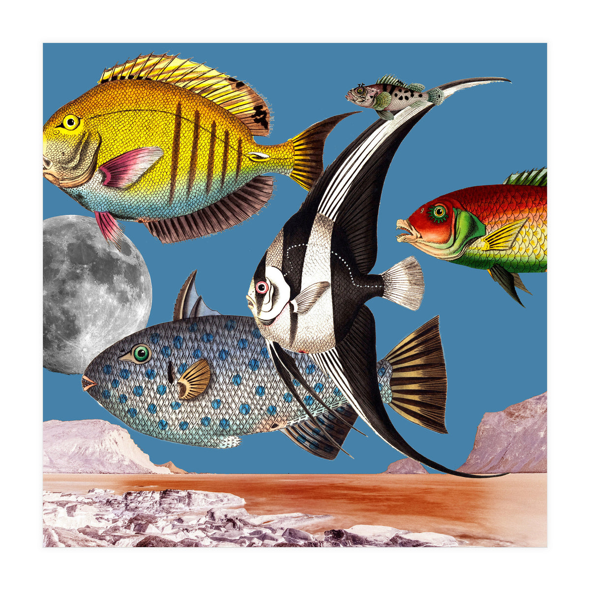 Fish World Blue (Print Only)