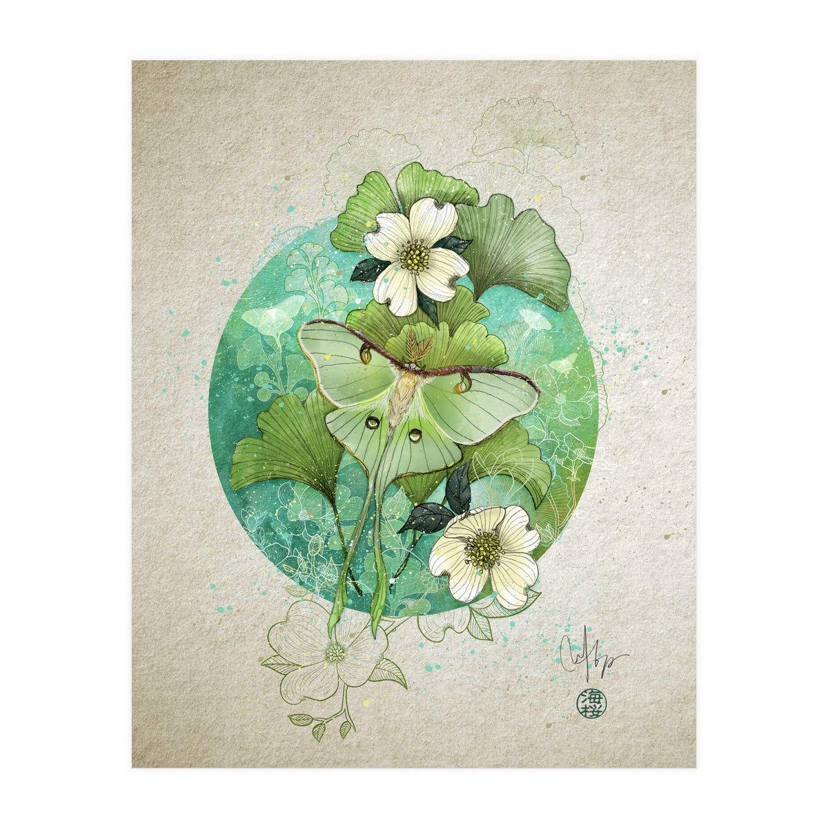 Luna Moth  (Print Only)