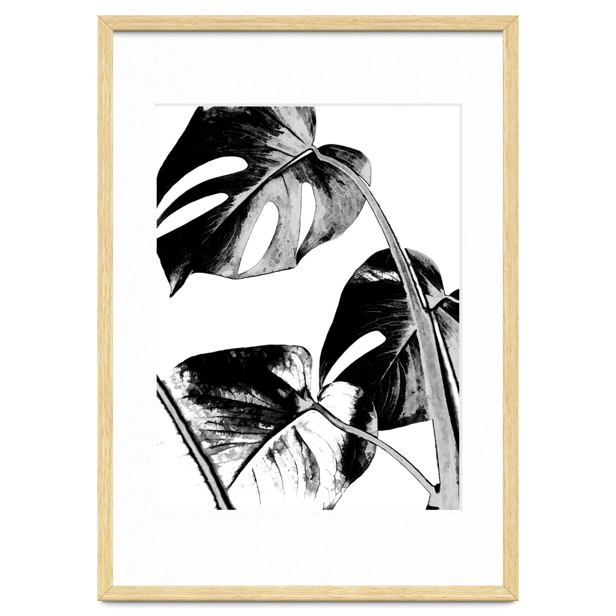 Black Tropical Leaves