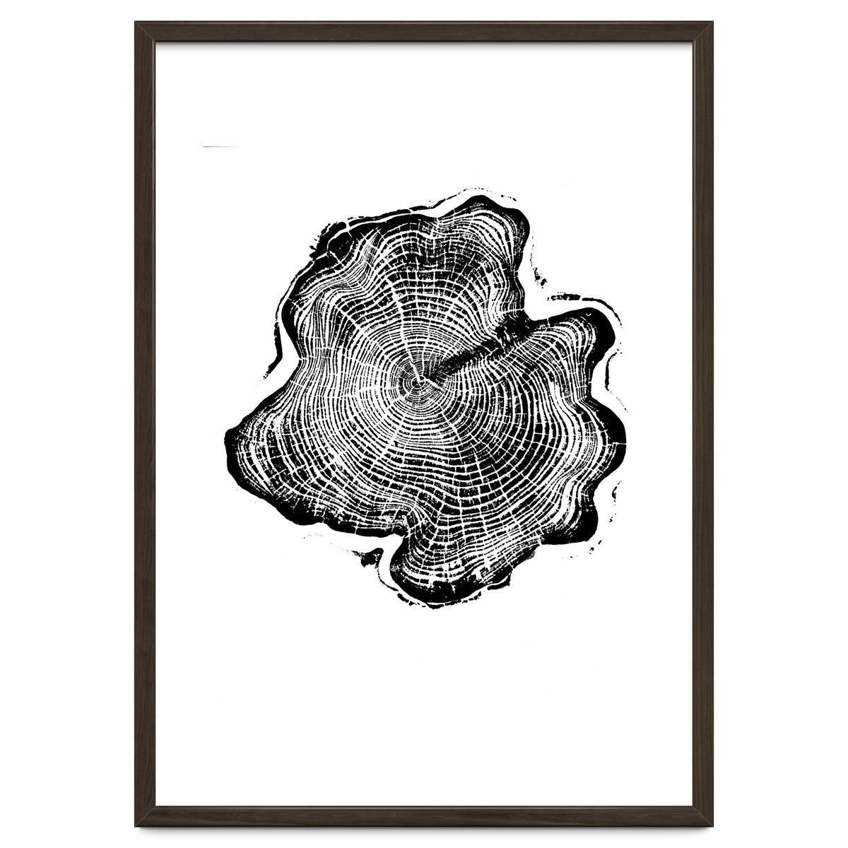 Alaskan Cypress, Tree Ring Art Print, Woodblock