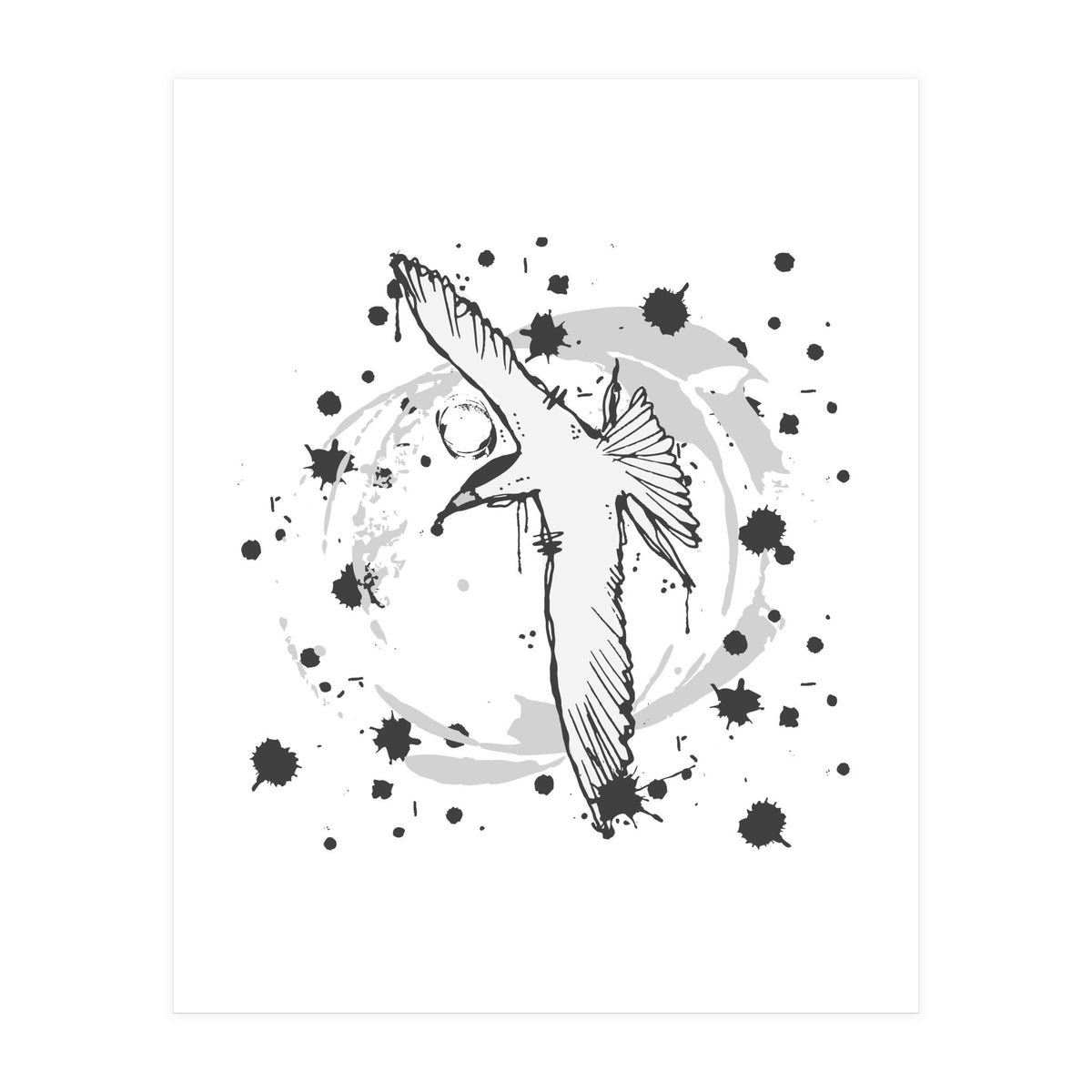 Fairy Tern Sketch (Print Only)