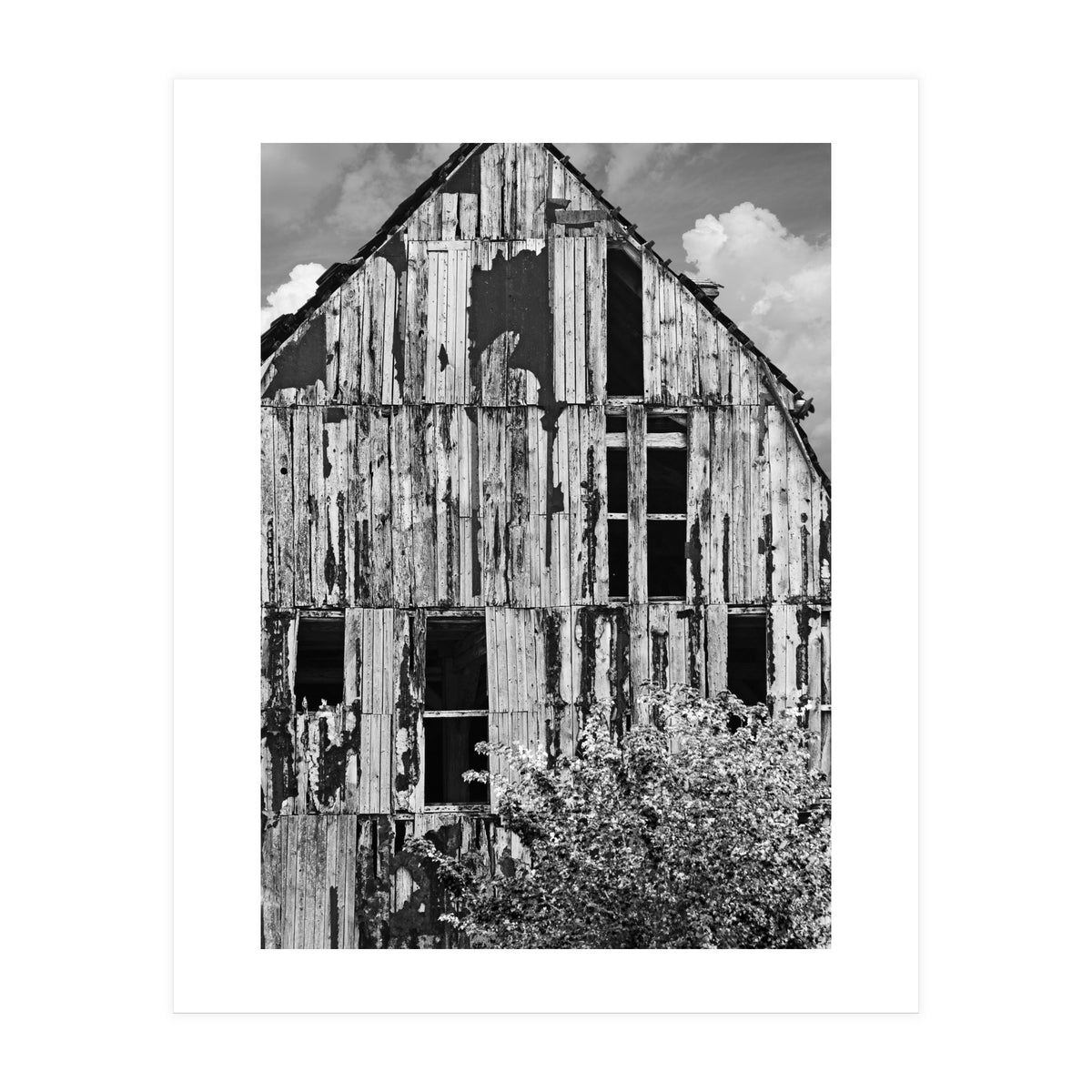 Ruin (Print Only)