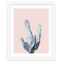 Cactus collection BL-I