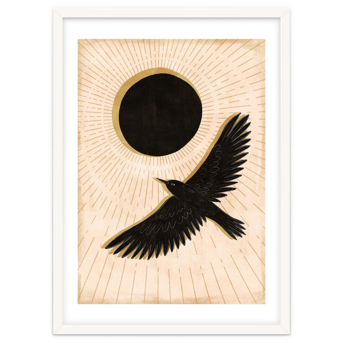 Raven And A Black Sun